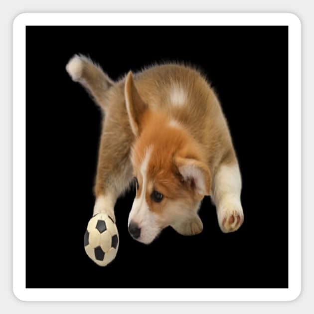 Puppy with a ball to play Magnet by KA&KO